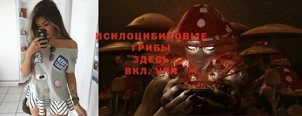 2c-b Вяземский