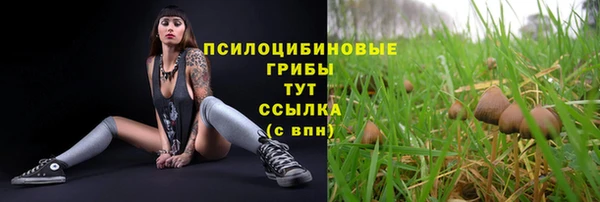 скорость Горнозаводск