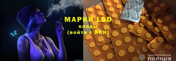 стаф Вязьма