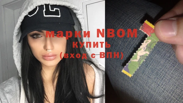 стаф Вязьма