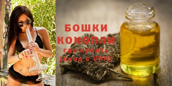 2c-b Вяземский