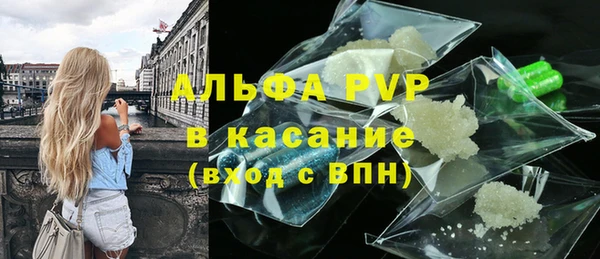 стаф Вязьма