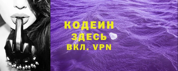 стаф Вязьма