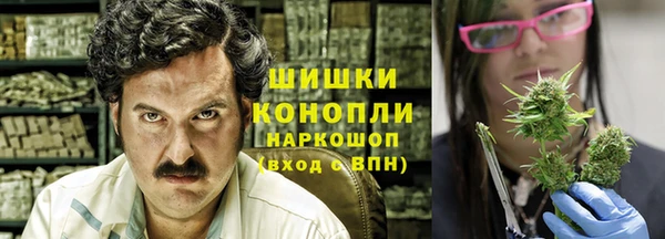 стаф Вязьма