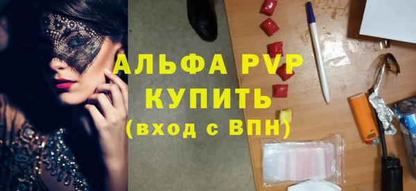 стаф Вязьма