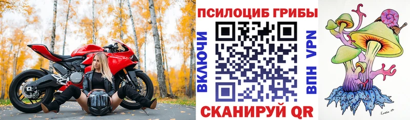 Псилоцибиновые грибы Psilocybine cubensis  omg ТОР  Белгород 